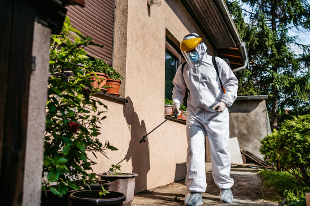Professional Pest Control in Throop, PA
