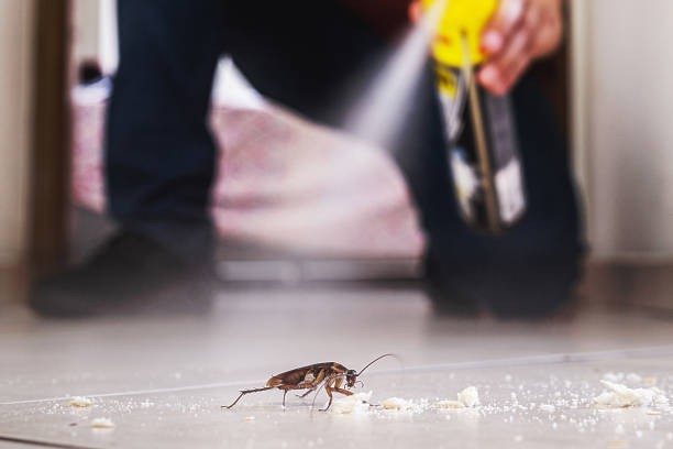 Best Commercial Pest Control Services  in Throop, PA